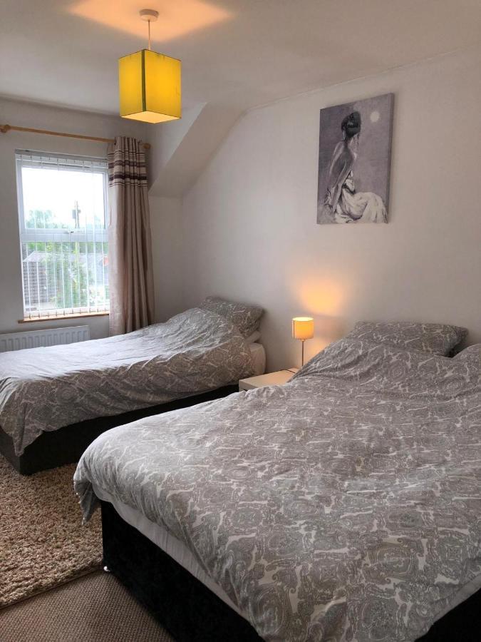 Glendona Lodge Glenavy Dış mekan fotoğraf